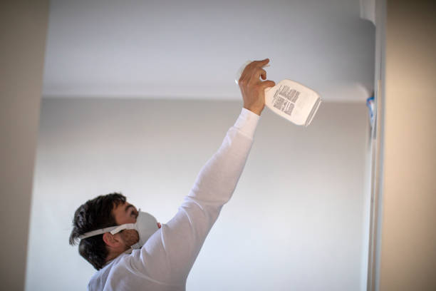 Best Crawl Space Mold Removal  in Enfield, NC