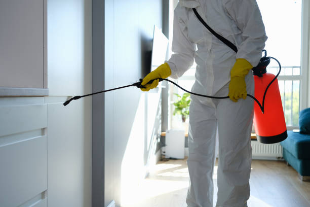 Best Mold Damage Repair  in Enfield, NC