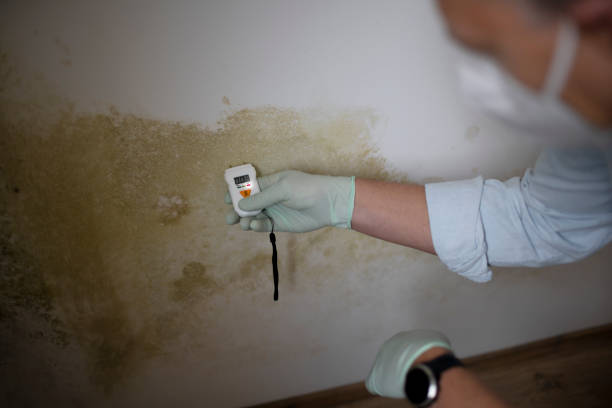 Crawl Space Mold Removal in Enfield, NC