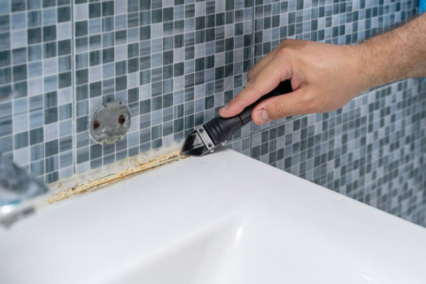 Best Mold Remediation  in Enfield, NC